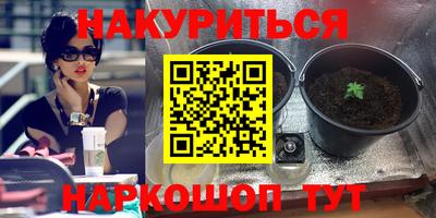 прущие грибы Рузаевка