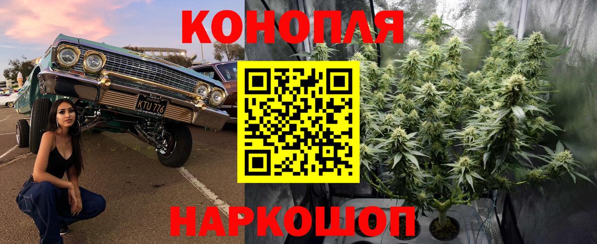 Ревда  Марихуана планчик  МАРИХУАНА Bruce Banner  Вход с VPN 